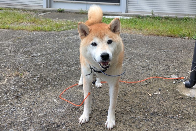 ニマンくんを撮影した写真