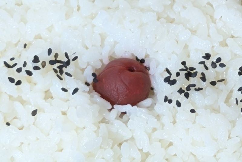 ご飯を撮影した写真