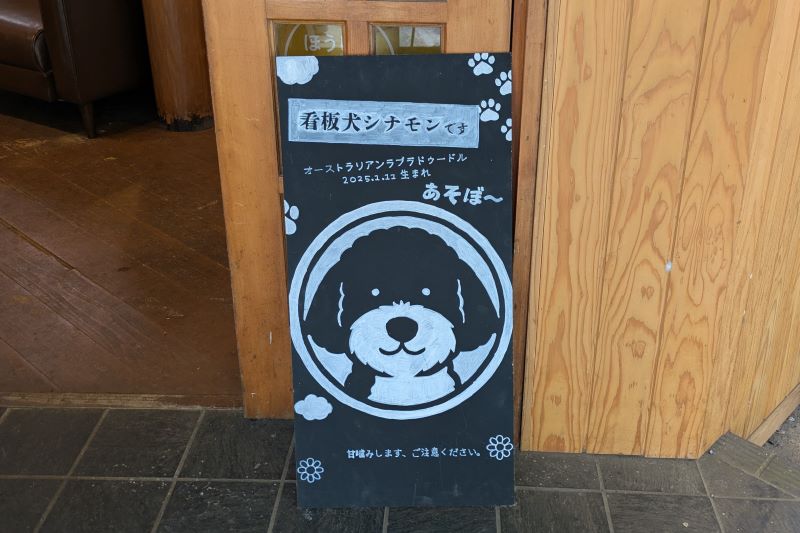 看板犬シナモンくんの紹介を撮影した写真
