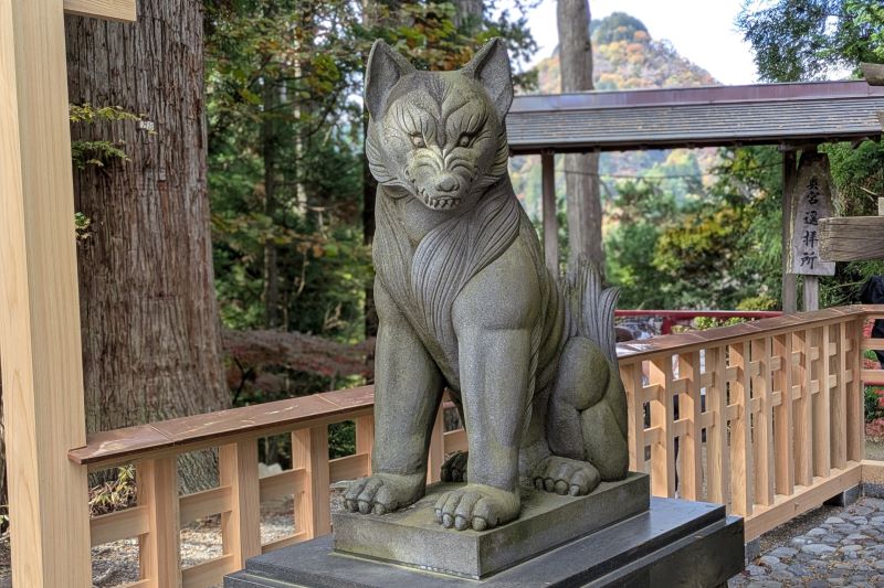 おいぬさまを撮影した写真