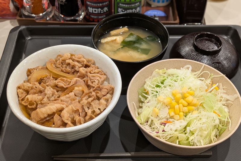 牛めし生野菜セット