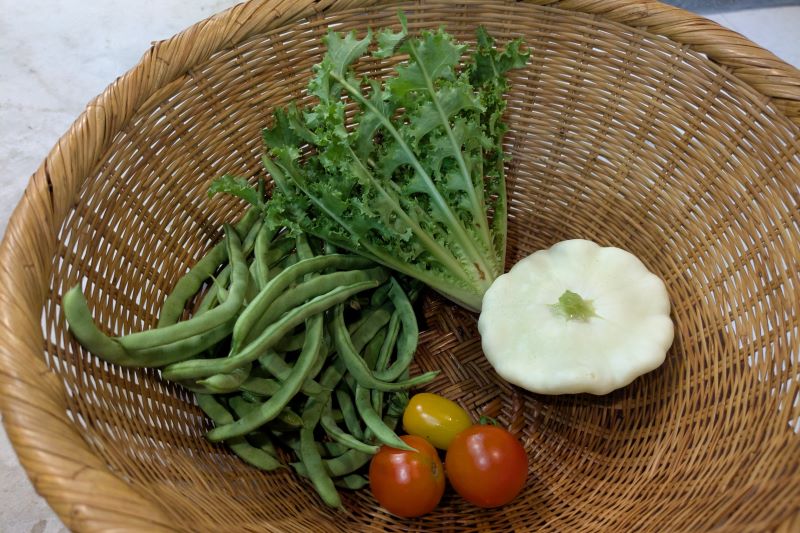 自家栽培の野菜